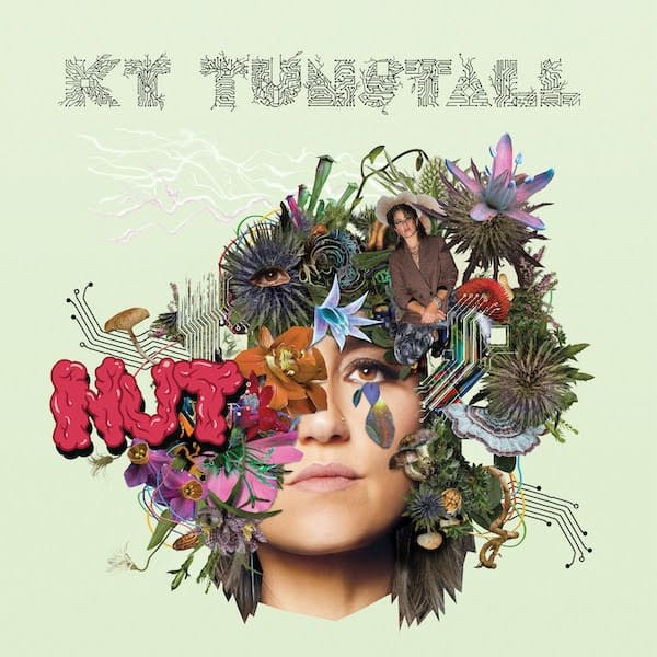 Découvrez notre chronique sur le nouvel album de KT Tunstall, Nut