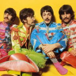 Découvrez les paroles de The Beatles - Hello Goodbye